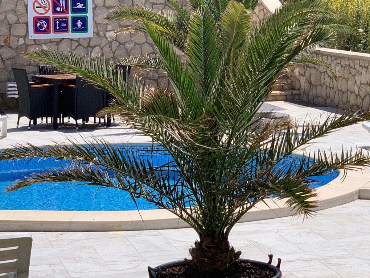 נובליה Apartments Albatross מראה חיצוני תמונה