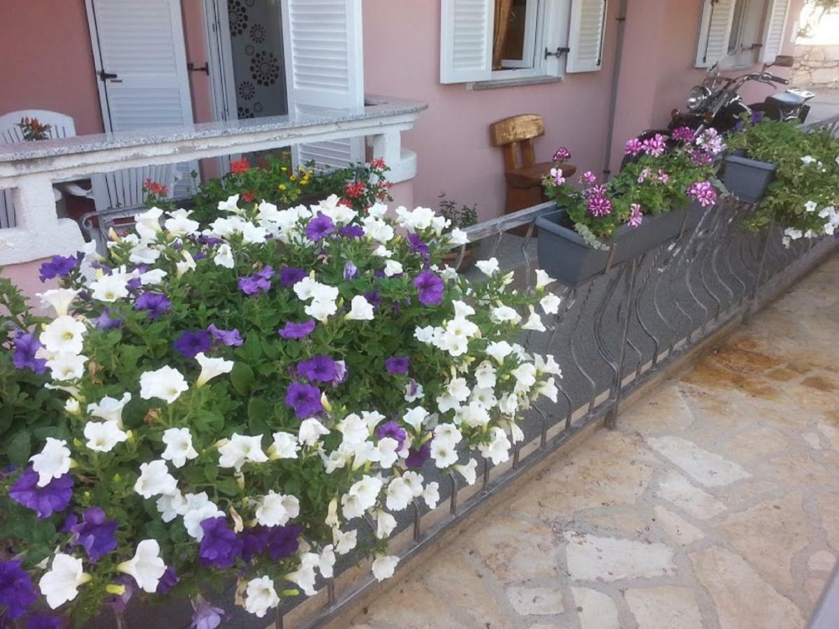 נובליה Apartments Albatross מראה חיצוני תמונה